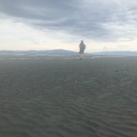 rj mcdaniel (@rumhamlet) 's Twitter Profile