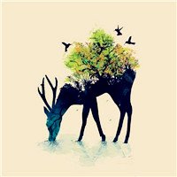 SuOsmc's profile picture. 