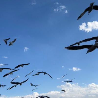 zy9508's profile picture. 