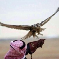 محمد المنديل (@imandeil) Twitter profile photo