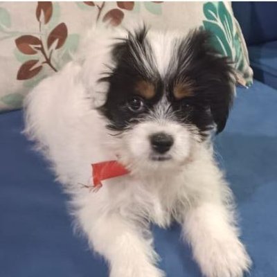 ikdaje's profile picture. 