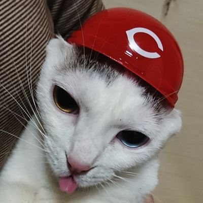 qRf68uestjWW4Rn's profile picture. 