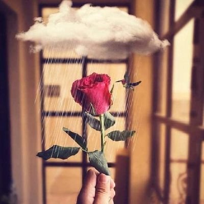 ggkkl50010's profile picture. .