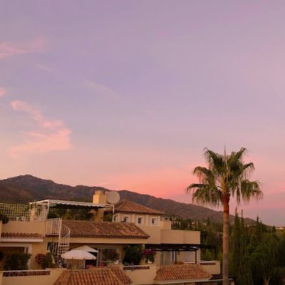 BerutichBianca's profile picture. 