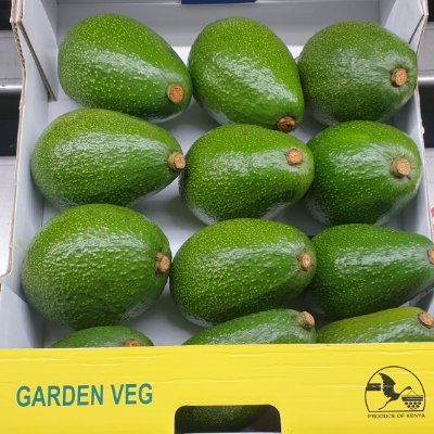 We are exporters of Avocadoes( Fuerte and Hass ) with great understanding of different market requirement for different markets and clients around the world.