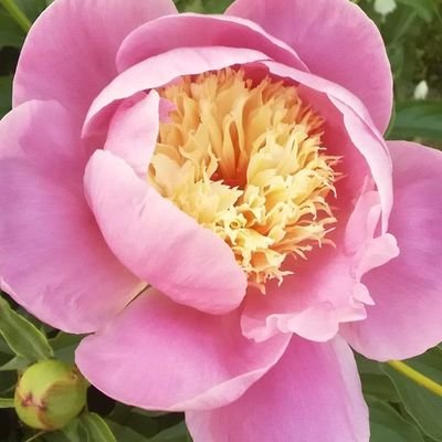 ciekawemomenty's profile picture. Blog osobisty