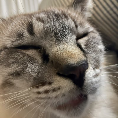 ane8ne's profile picture. 好きな作家は森博嗣/白石一文/西加奈子/朝井リョウ/本多孝好/劉慈欣/アンディウィアー/ミシェルウエルベック/SF好き。カフェ読書好き。弊機好き。時々映画も。