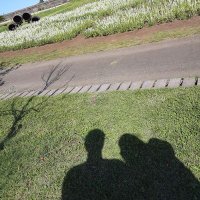 ココアンジュ 10*01 (@cocoange1001) 's Twitter Profile