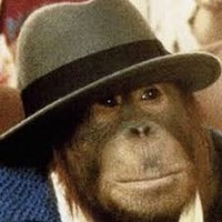 mr ape 🦧 🎩🧐 (@stealthape) 's Twitter Profile