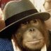 mr ape ๐ฆง ๐ฉ๐ง (@stealthape) Twitter profile photo mr ape ๐ฆง ๐ฉ๐ง (@stealthape) Twitter profile photo