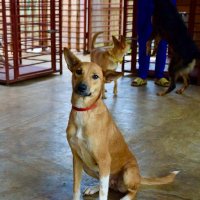 WAG Rwanda (@wagrwanda) 's Twitter Profile Photo