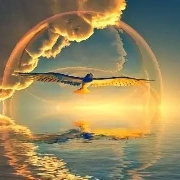 abc90734970's profile picture. 宜しくお願いします。
早く当選しますように！