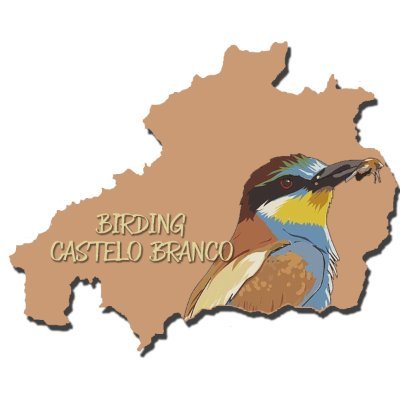 Locais, dicas e notícias sobre a observação de aves no distrito de Castelo Branco. 🦅🦆