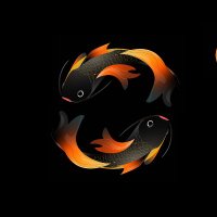 Hidden Fish DAO 🎣 (@hiddenfishdao) 's Twitter Profile
