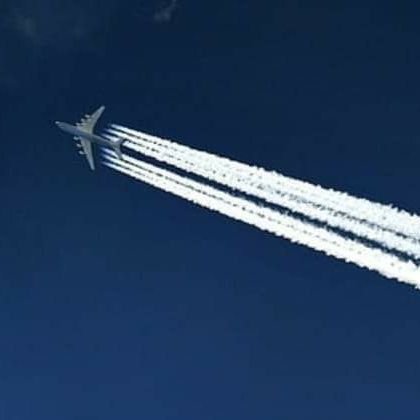 avgeek111's profile picture. Sick of the woke narrative... Go Trump!