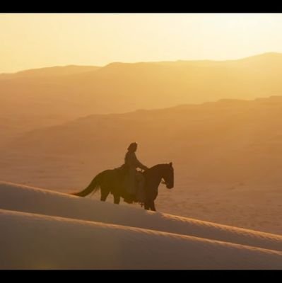 sathvik28k's profile picture. hush...
young and stupid
||| smile and shine