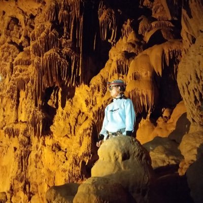 BioGeo something at FCUL 🌍 | MSc student in Ecology and Environmental Management