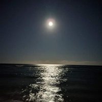 Simona Ferrari (@simoferra65) 's Twitter Profile