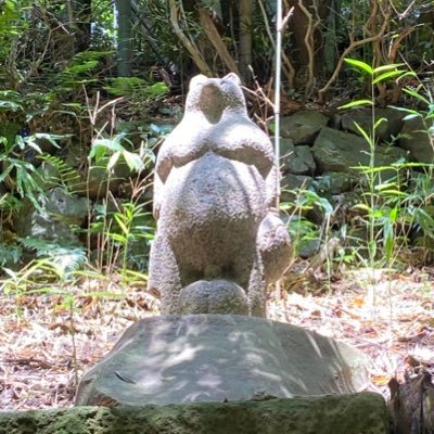 XModam1's profile picture. 熱海へ移住。ご隠居生活満喫中！