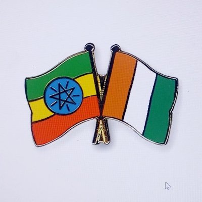 It is the official twitter account of the Ethiopian Embassy in  #Côte_dIvoire 🇨🇮 @mfaethiopia @Landoforigins   #Ethiopia 🇪🇹 

https://t.co/AtqBhyVXvd