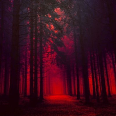 rocks2408's profile picture. 