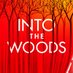 Into the Woods on Broadway (@ITWBroadway) Twitter profile photo