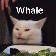 YANGSONG__'s profile picture. 모든거 다 초보 / 그럼 이만