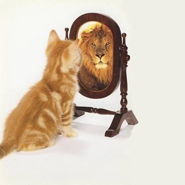 toshi_3425's profile picture. 