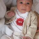 William Scheer - @willscheer - Twitter