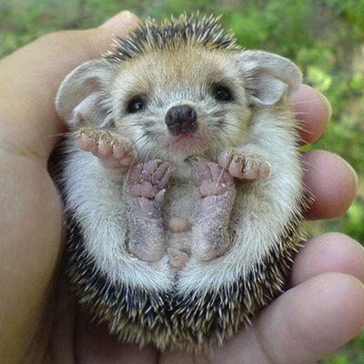 josephr05259394's profile picture. humble