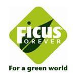 wij zijn ficuskwekers met als motto For a Green World; http://t.co/nUbX6c11l5