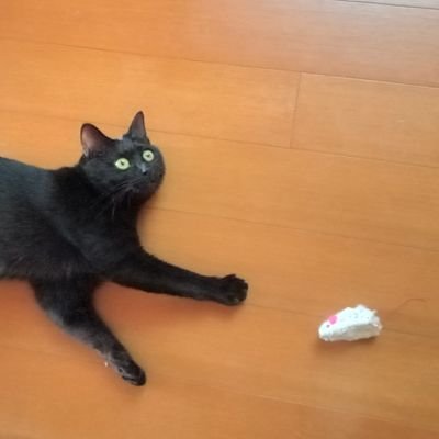 nNMbK4meHFVbCVG's profile picture. 