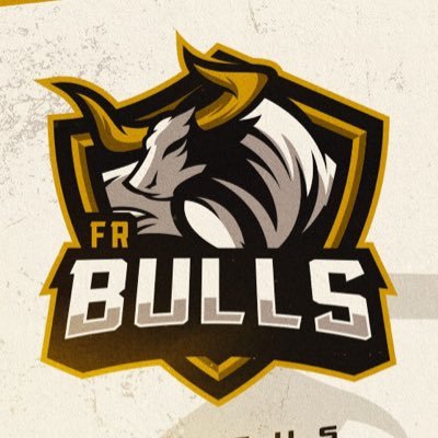 Organização Brasileira de E-Sports 🇧🇷 #GoFRBulls 🏆 16x Campeões 🏆