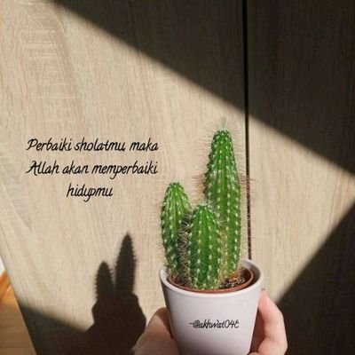 Allah♡