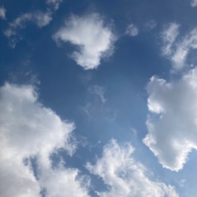 atomwhite0315's profile picture. 