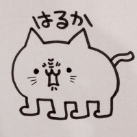 藤吉はるか@先生でPW(@harukabcc) 's Twitter Profile Photo