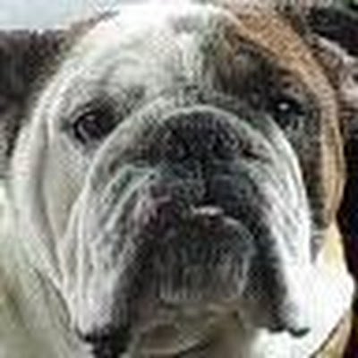 Seph08748712's profile picture. 