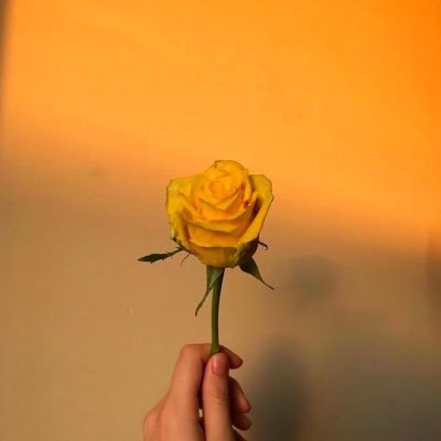 chl03l0ng's profile picture. I’m here to have a good time. New to this.