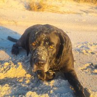 AmyG (@seatrtl) 's Twitter Profile