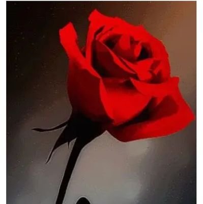 LuckyLavanya191's profile picture. Iam a hardworker and don't give up if any thing happens still continue with confidence
