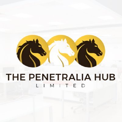 The Penetralia Hub is an IT innovation hub where ideas are brought to life and made profitable.
