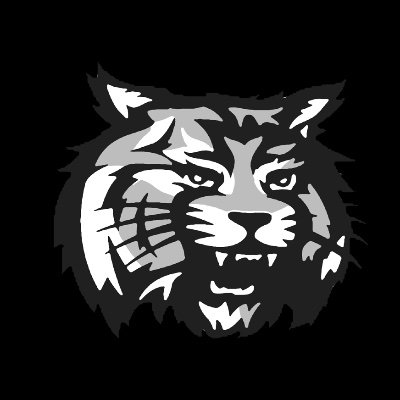 fhs_wcat Profile Picture