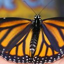 Nancy Becerra - @NancyBe67248280 - Twitter