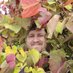 Dr. Mason McNair (he/him) (@sarraceniamason) Twitter profile photo Dr. Mason McNair (he/him) (@sarraceniamason) Twitter profile photo