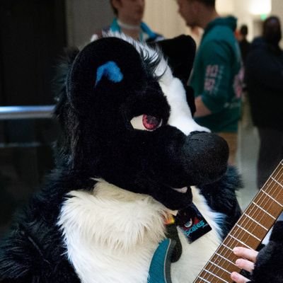 What's up! Fursuiting and music account for your favorite guitar-playing Skunk! Catch me playing at a convention near you! Side account of @plushderg