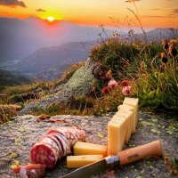 Edo (@edo52892144) 's Twitter Profile