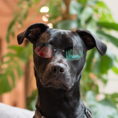 0xOtem's profile picture. DeFi Degen