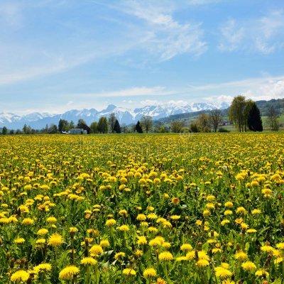 mvtsv's profile picture. Scientist with a love for life, people, nature and the truth

All views/opinions are my own