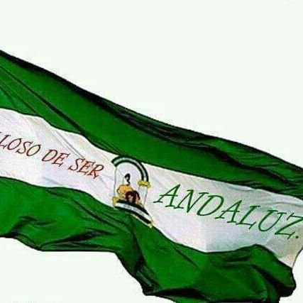 mezquitero's profile picture. Córdoba