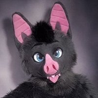 🦇Tally🦇 (@tallybat) 's Twitter Profile